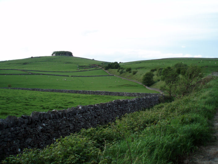 Johnson's Knoll Johnson's Knoll